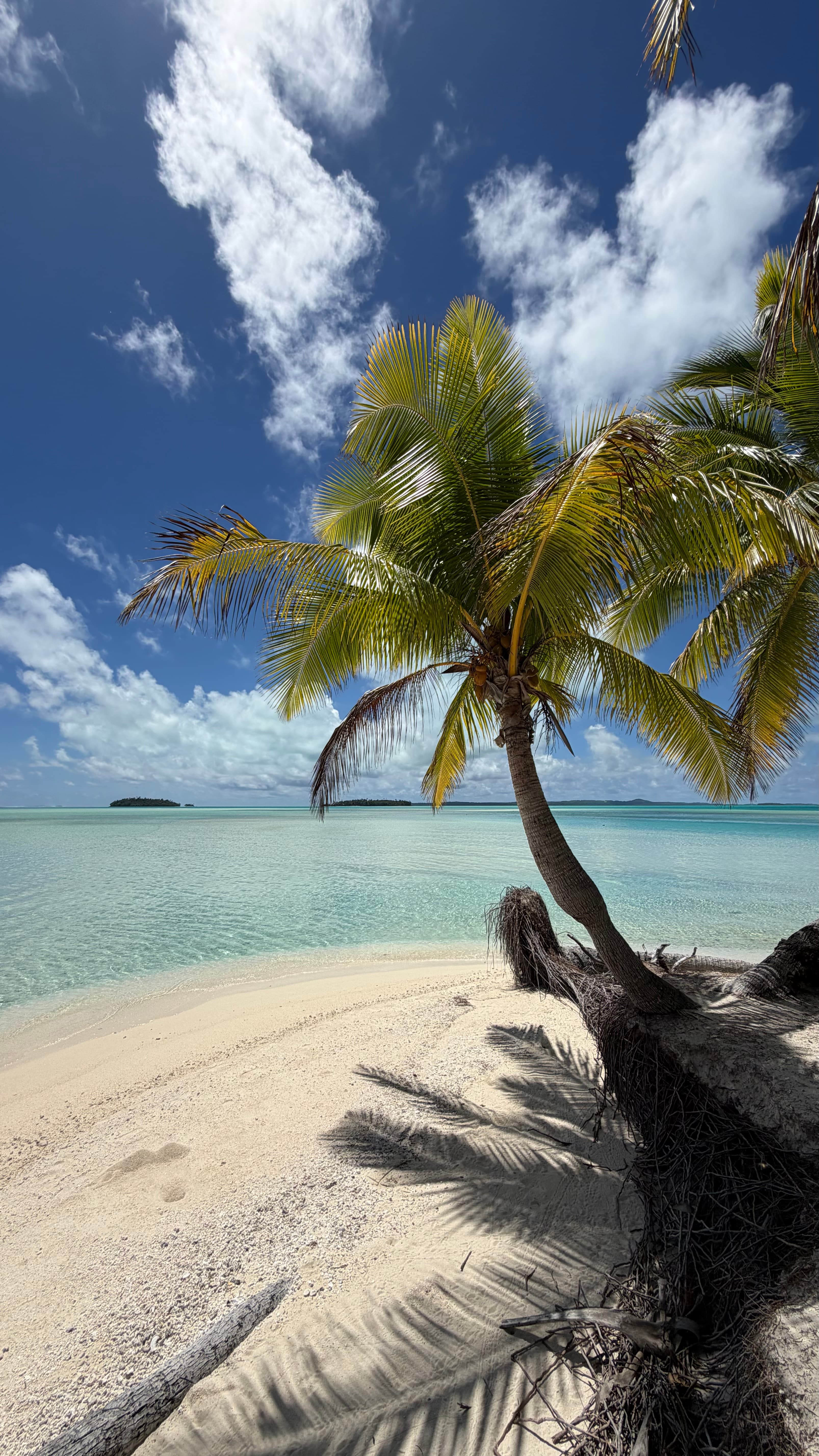 Rarotonga Island Vibes 