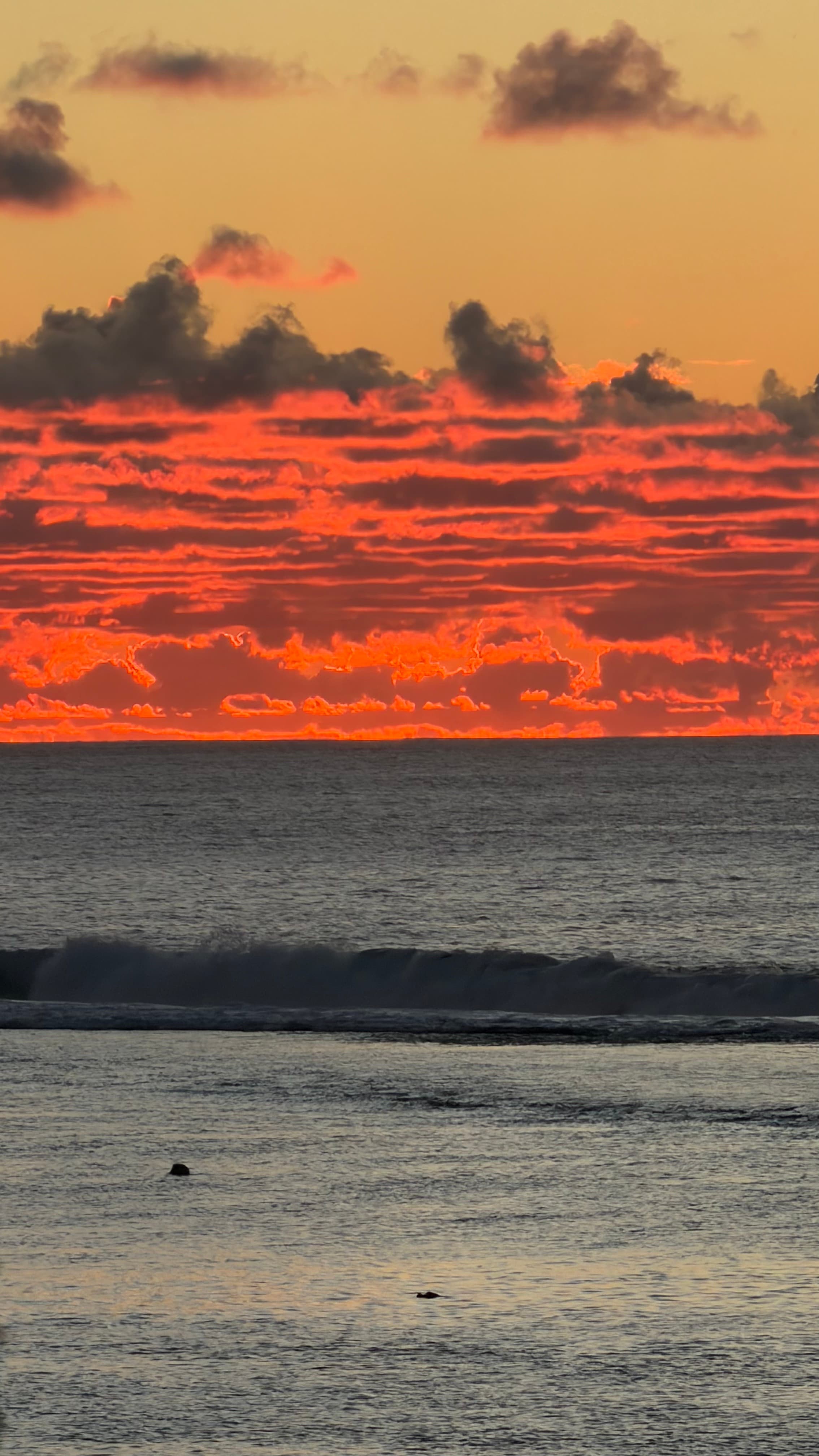 Rarotonga Island Vibes 