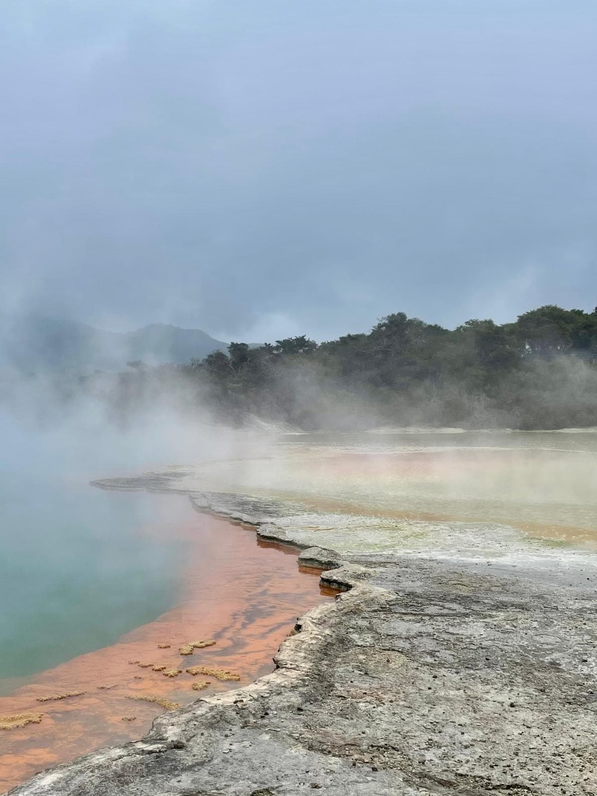 Rotorua Weekend Getaway​