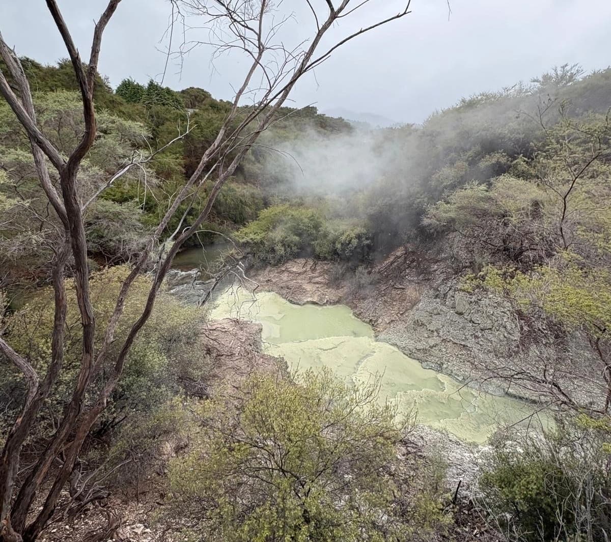 Rotorua Weekend Getaway​